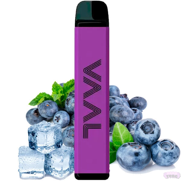 VAAL 4000M Blueberry Iсe (Черника Лед) Одноразовая электронная сигарета  840011 фото