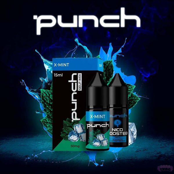 Набор для самозамеса Punch X Mint, 15 Мл\50 Мг 430078 фото